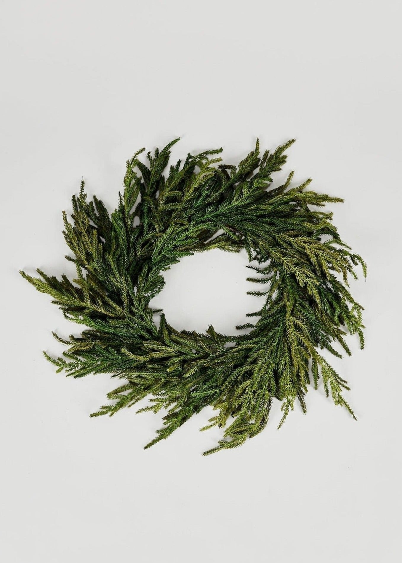 AfloralTM Real Touch Norfolk Pine Wreath - 24"