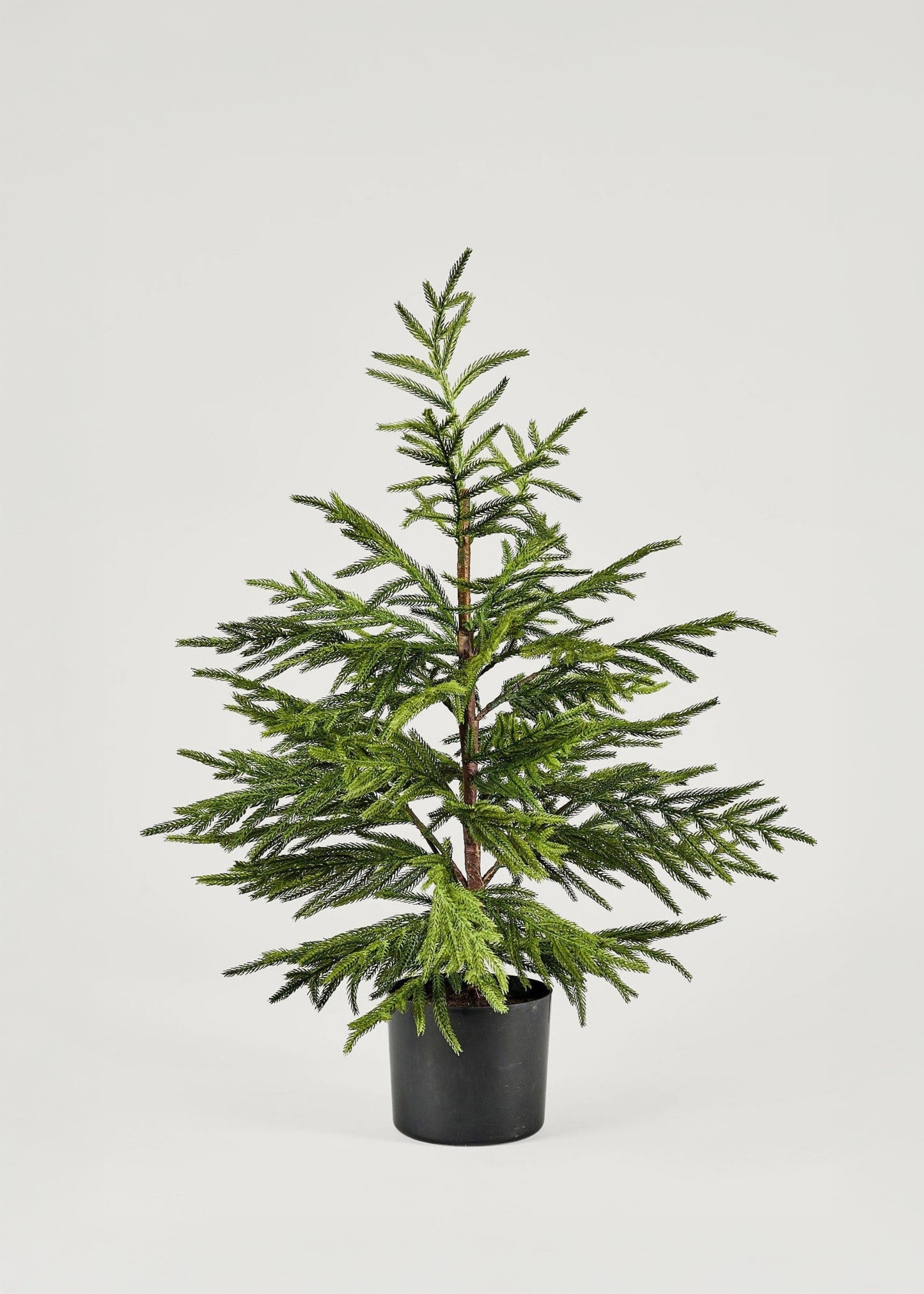 AfloralTM Artificial Norfolk Pine Tree - 36"