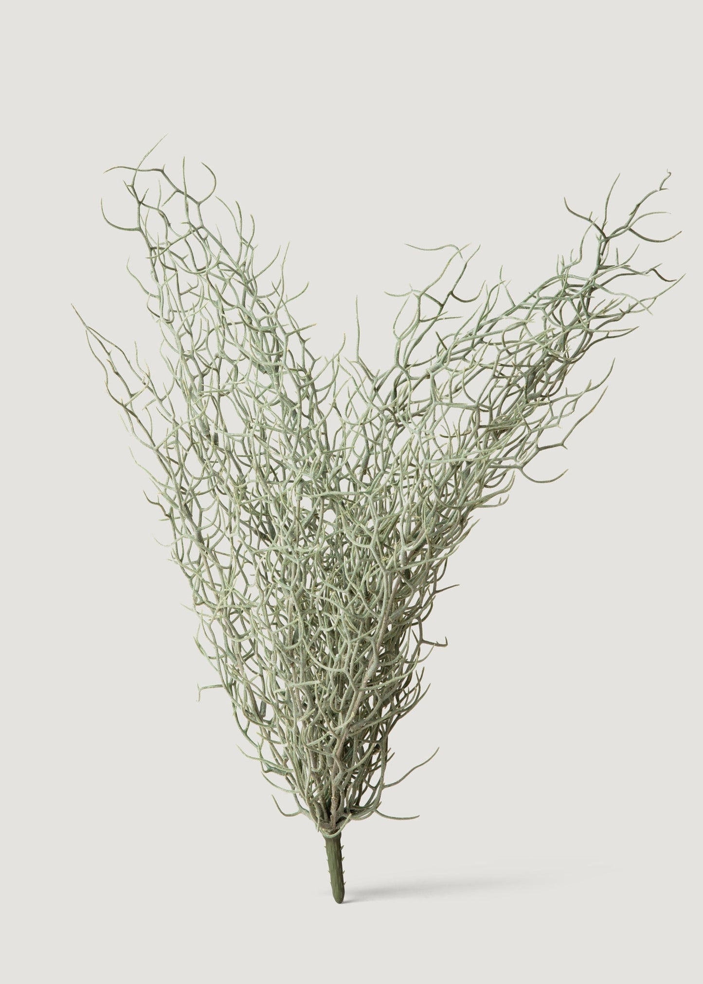 Abigail Ahern Artificial Grass Bush - 26"