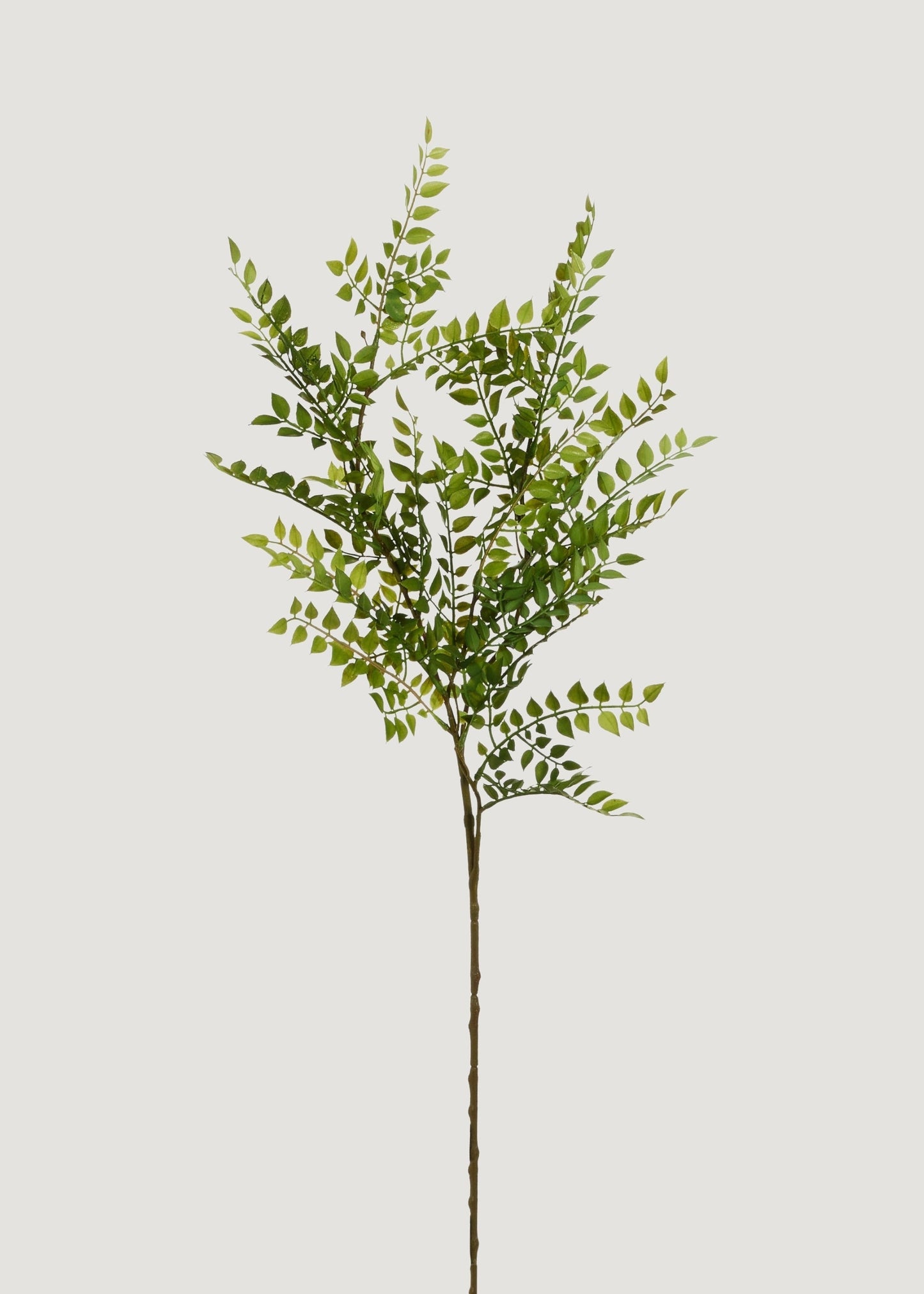 Artificial Ruscus Leaf Branch - 36.5"