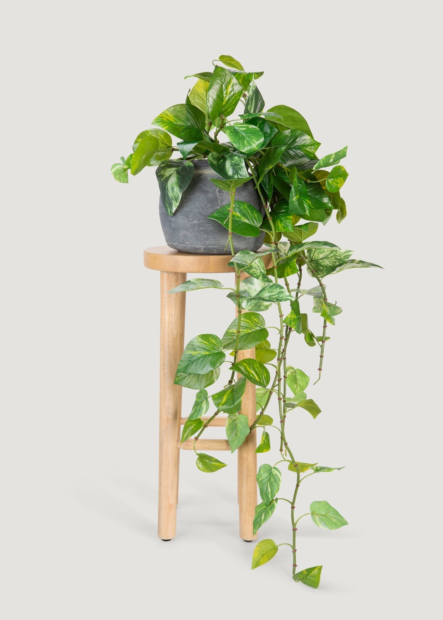 UV Treated Pothos Indoor/Outdoor Natural Touch Hanging Plant - 42"
