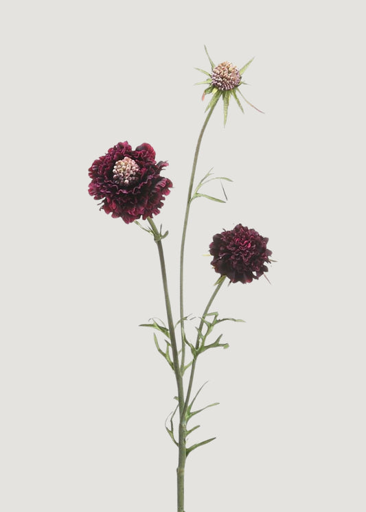 Fake Scabiosa Wildflowers in Eggplant - 28"