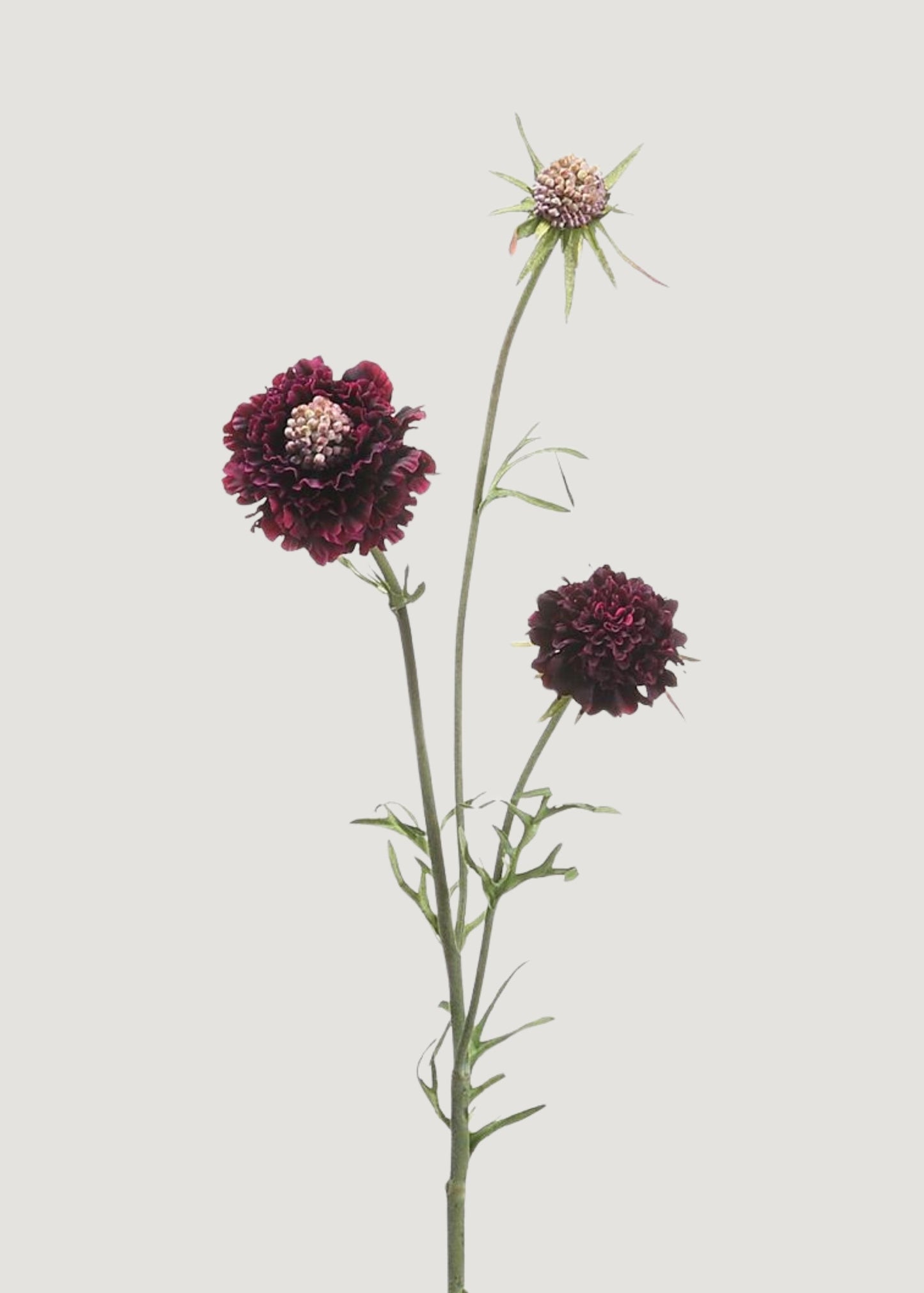 Fake Scabiosa Wildflowers in Eggplant - 28"