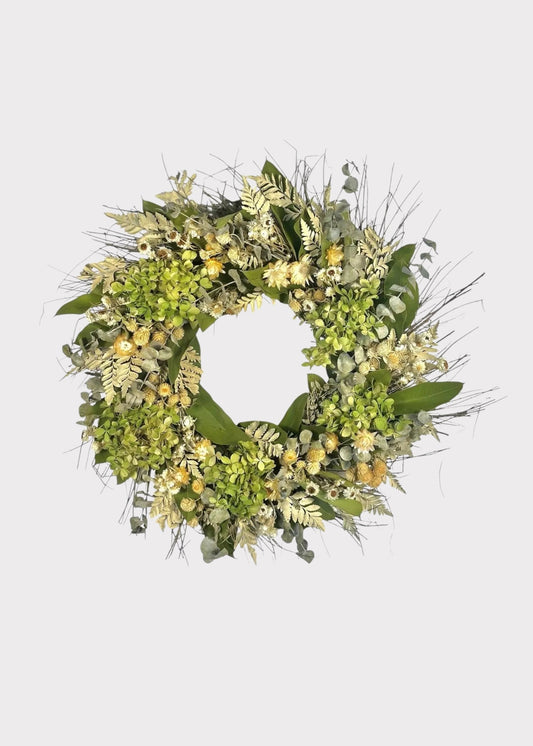 Cream Green Dried Hydrangea Flower and Eucalyptus Wreath - 22"