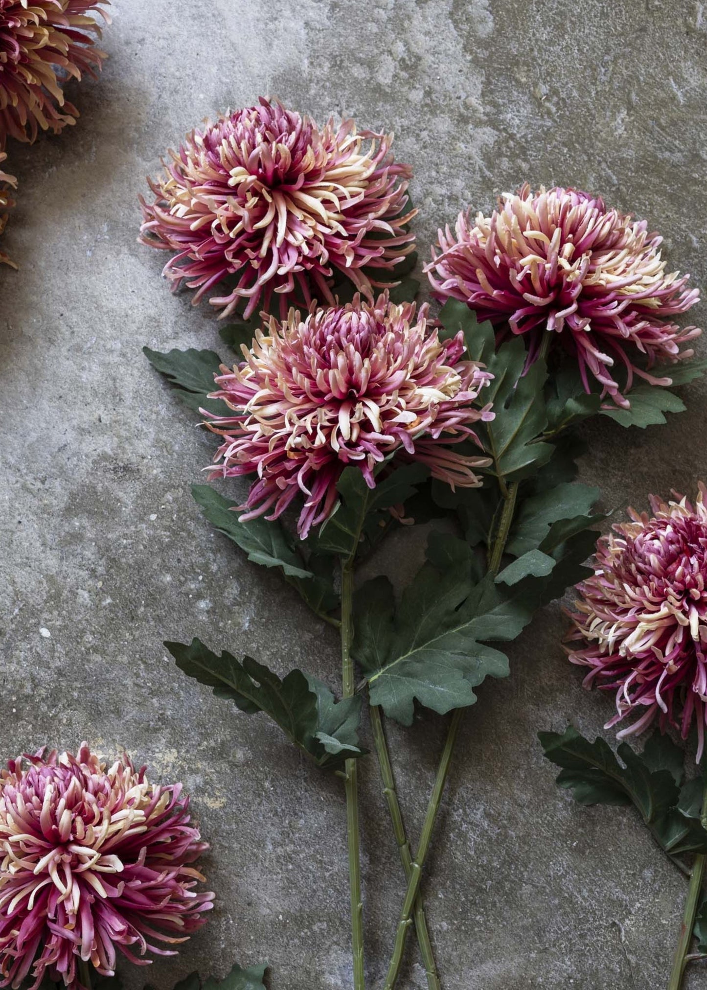 Fake Chrysanthemum Flower in Pink Sunset - 35.25"