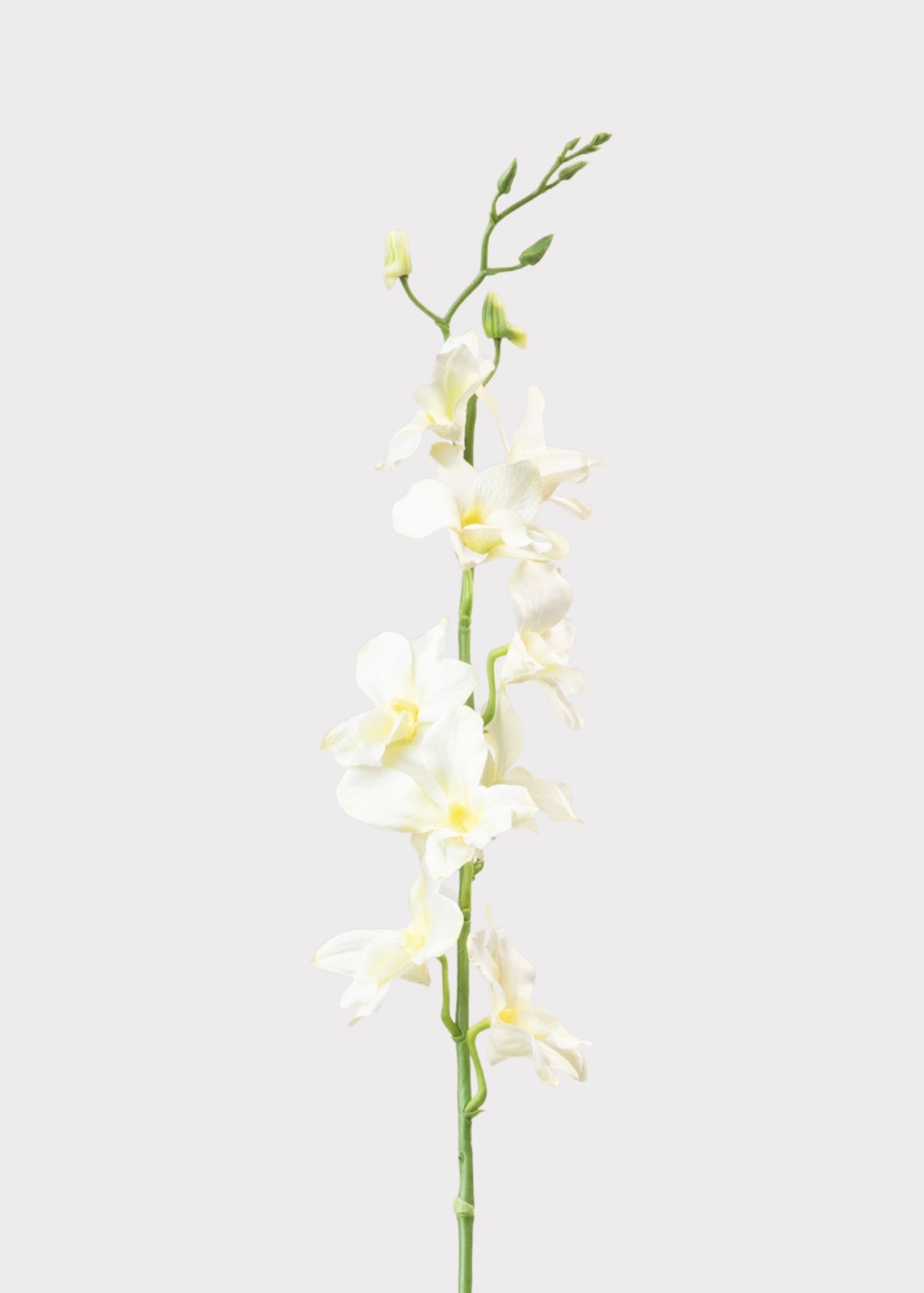 Cream Artificial Dendrobium Orchid Flower Branch - 35.5"