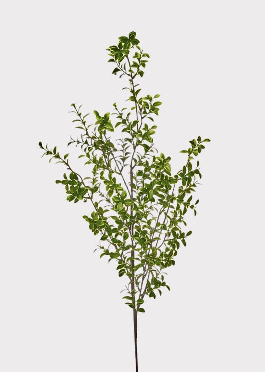 Tall Artificial Boxwood Branch - 48"