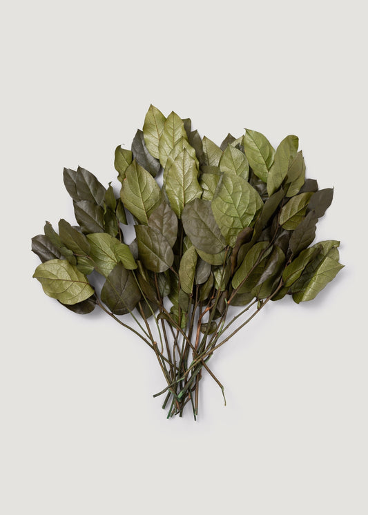 Green Preserved Salal Leaves - 20-25"