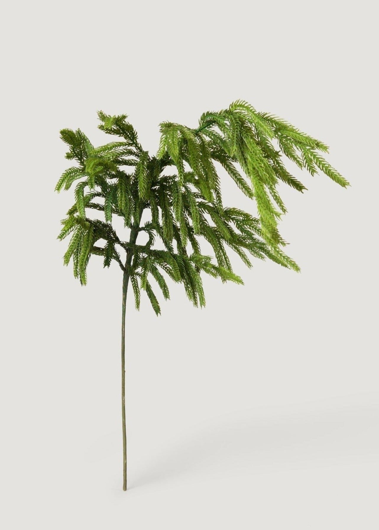 AfloralTM Real Touch Norfolk Pine Branch - 36"