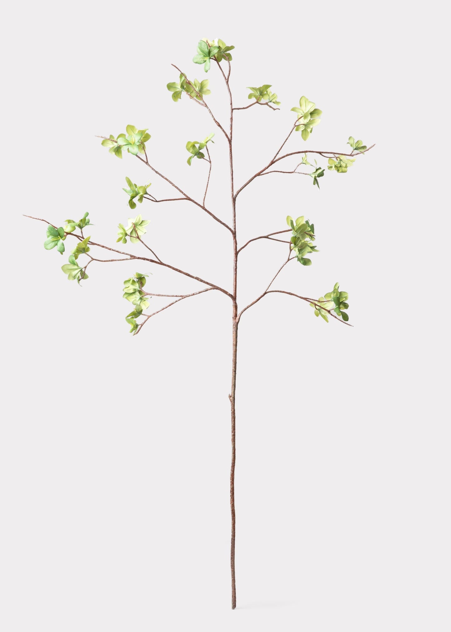 Tall Artificial Young Leaf Branch - 43"