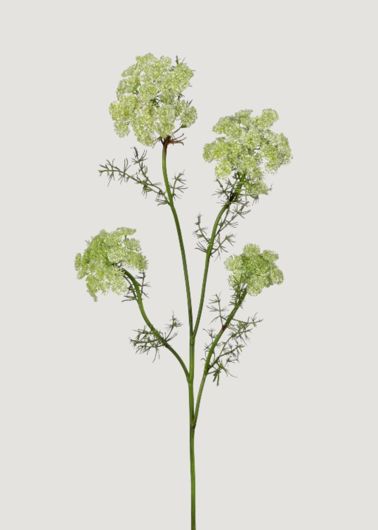 Green Artificial Dill Wildflower Branch - 33"