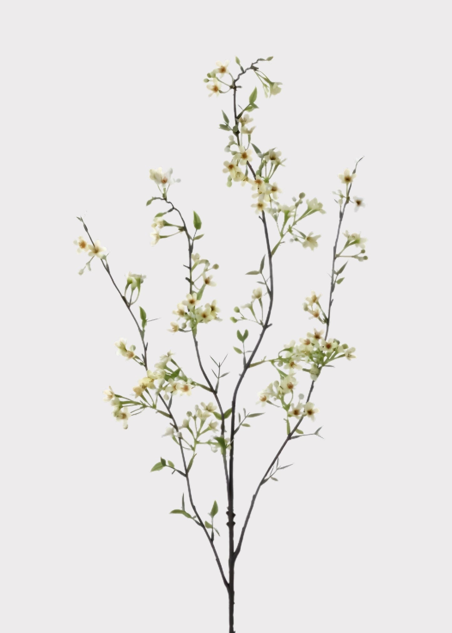 Green Artificial Waxflower Blossom Branch - 40"